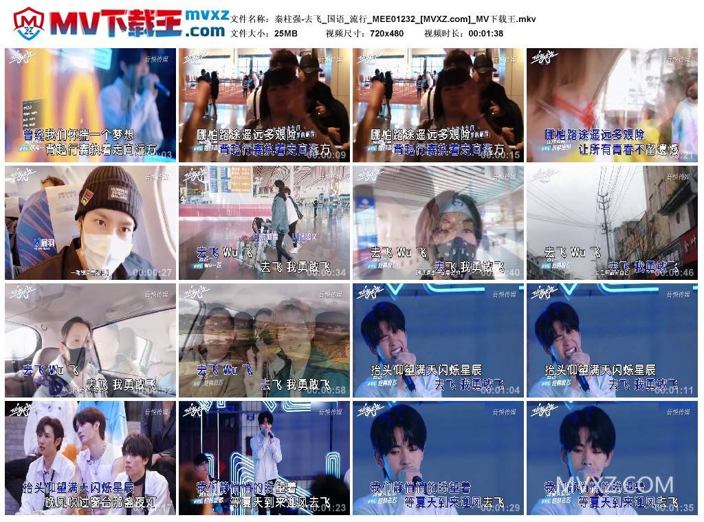 秦柱强-去飞_国语_流行_MEE01232